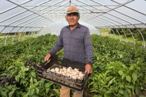 salario mínimo salario mínimo interprofesional IRPF